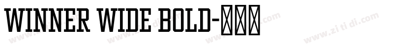 Winner Wide Bold字体转换